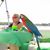 Marsha Davidson's profile image