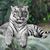 Maryrose Piceno Siemens's profile image