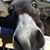 Jack Lemmer's profile image