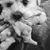 Victoria Tank's profile image