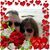 Rachelle DeBaca's profile image