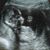 Zack Kouris's profile image