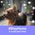 Debby DeMott's profile image