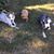 Terri Arnold Dorman's profile image