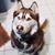 Dana Hanneman Hopkins's profile image