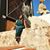 Pamela Ivonne - Cole's profile image