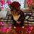 Tiffany Gillingham Crego's profile image