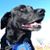 Susanne Peticolas's profile image