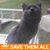 Roberta Degraw's profile image
