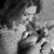 Mandy Faulk's profile image