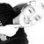 Audrey Hollar's profile image