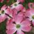 Norma Whitmeyer's profile image