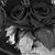Evelyn Gouveia's profile image