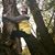 Jen Korb Janke's profile image