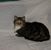 Beth French's profile image
