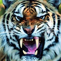 Scott Bucher's profile image