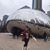 Nicole Phillips Morris's profile image