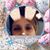 Sharon Strom Melendez's profile image
