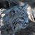 Sandy O'Connor's profile image