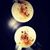 Amit Singh's profile image