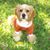 Colleen Roundhill's profile image