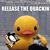 Michele Johnston's profile image