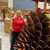 Gena Reich's profile image