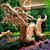 Irene Kyes's profile image