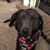 Jerry Pickens's profile image