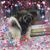 Maria Gullifa Churchward's profile image