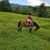 Donna Nash Williams's profile image