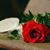 Nancy Ruble's profile image