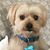 Kelly Laprocido Stutts's profile image