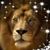 Vicki Aucutt's profile image