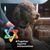 Fio Williamson's profile image