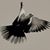Mary Jo Stauner's profile image