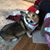 Gail Bartz Levin's profile image