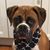 Tim Hess's profile image