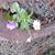 Reta Shaw's profile image