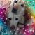Julie DeVelis Raymond's profile image