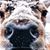 Pam Geimer's profile image