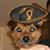 Richard Becerra's profile image