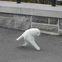 Bryn Lucy's profile image
