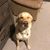 Buddy McKeel's profile image
