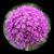 Dee Elliott's profile image