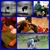 Joann Ramirez's profile image