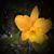 Becky Gayon Crowl's profile image