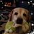 Brenda Rotman's profile image