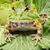 Steve Stehr's profile image