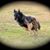 Lyda Long's profile image